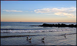 Seashore with gulls - 800 x 480 wallpaper for the Eee PC